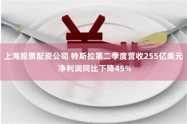 上海股票配资公司 特斯拉第二季度营收255亿美元 净利润同比下降45%