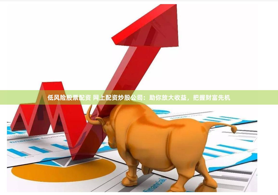低风险股票配资 网上配资炒股公司：助你放大收益，把握财富先机